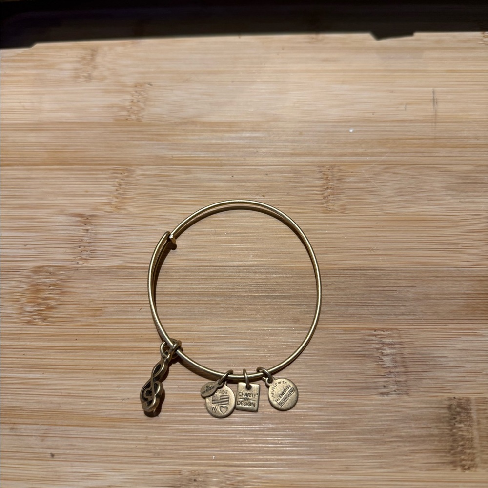 Alex and Ani Gold Charm Bracelet with Symbols